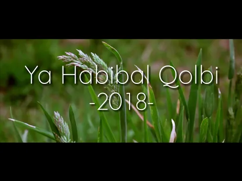 Download MP3 New!! Sholawat Ya Habibal Qolbi 2018