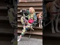 Download Lagu Gigi Hadid Vogue Photoshoot with Dogs