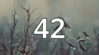42 Second Countdown Timer With Alarm Sound At the End Simple Beep