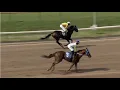 R2 Louisiana Downs USA 05 AUGUST 2026