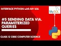 Parameterized Queries Interface Python with MySQL Class 12 CBSE Computer Science