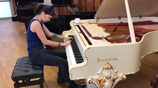 System Of A Down Chop Suey Vkgoeswild Piano Cover On Bösendorfer Baroque Grand 