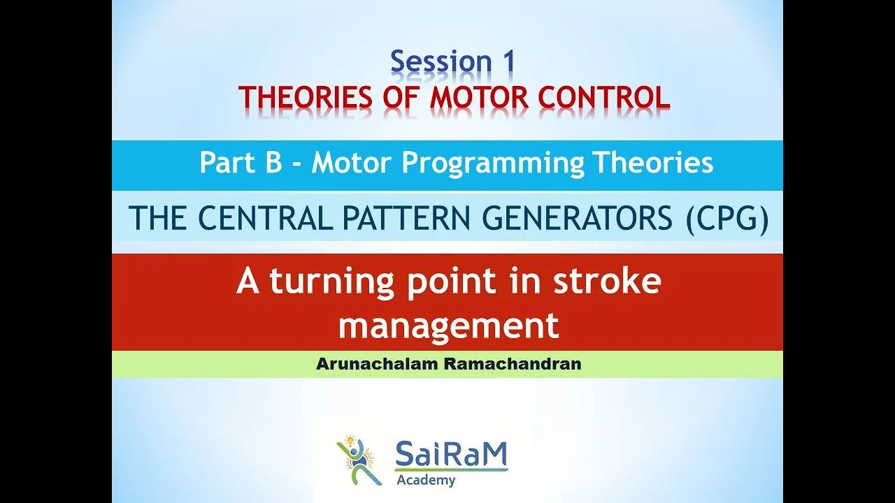 THEORIES OF MOTOR CONTROL Part B - Motor Programming Theories "THE CENTRAL PATTERN GENERATORS"