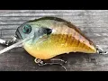 Download Lagu Painting a Realistic Supreme Blue Gill