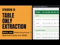 Processing Large Financial Table with Sparrow Table Only Extraction