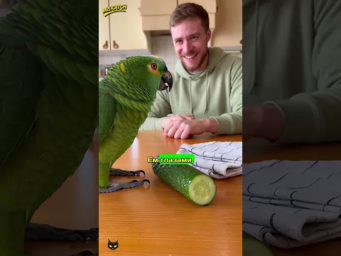 ГОША ЗАПРЕТИЛ МНЕ ОГУРЕЦ! 😱🥒 САЛАТ ИЗ ПРОБЛЕМ?
