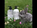 Clover and Willow Gift  Personal Care Gift Set - Video 5 of 2