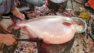 Amazing Cutting Skills!😱 Incredible Giant Pangash Catfish Cutting By Expert in Fish Market।
