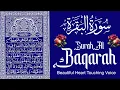 Download Lagu Surah-Al-Baqarah Full (سورة البقره)🕋 | MOST HEART💕TOUCHING QURAN RECITATION || Listening Every Day🎧