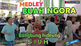 Download BUAH NGORA MEDLEY BANGBUNG HIDEUNG // BAJIDORAN NICO ENTERTAINMENT MP3