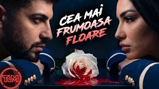 Descarcă Cea Mai Frumoasa Floare - Taraful Lui Mafian Sonia (Mix Hituri 2026) MP3 gratuit - Muzica123