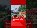Download Lagu Mau Madu Agasi Asli ?