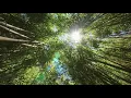 Pixabay com s Copyright Free s 4k