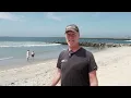Hundreds of stingrays inundate California beach ahead of expected El Nino surge