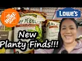 I Checked 2 Home Depot 2 Lowe s for Houseplants Here s What I Found