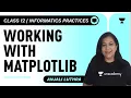 Working with Matplotlib Part-1 Informatics Practices Class 12 Anjali Luthra Unacademy