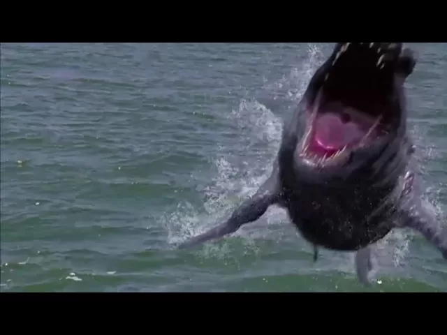 Dinoshark (2011) - Official Trailer