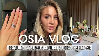 OSIA ВЛОГ: СБОРЫ НА СВАДЬБУ, УГРОБИЛА ВОЛОСЫ И ВОССТАНОВЛЕНИЕ, НОВИНКИ , УБОРКА К ОСЕНИ