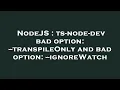 NodeJS ts-node-dev bad option -transpileOnly and bad option -ignoreWatch