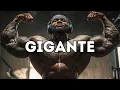 Lagu TOP MÚSICAS MOTIVACIONAIS 2026 💪 TRAP E HIP HOP AGRESSIVO PARA TREINO DE ACADEMIA 🔥 TREINAR PESADO
