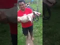 Download Lagu Waduhh,,, ANJING PEMBURU BABI HUTAN KAKINYA SOBEK DI SERANG BABI | AYARISPORTS #berburubabi