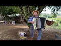 Download Lagu Xodozinho Sanfonando - Recordando Tião Carreiro e Pardinho