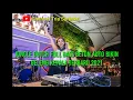Download Lagu DJ JUNGLE DUTCH FULL BASS BETON AUTO BIKIN GELENG KEPALA TERBARU 2021
