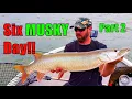 SIX MUSKY DAY The Perfect Weather for Eagle Lake - Part 2