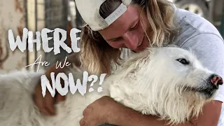 How did we get here so quick?!…Ryan Screwed Up | Sailing Italy | Sailing Sunday Ep. 91