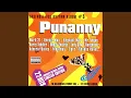 Punanny