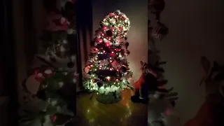 Whoville style christmas tree 2021