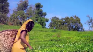 yanungamya by mauwa ryione mp4