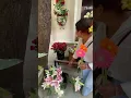 Download Lagu I love this Lilly but I can’t efforts 😤😢 🤓 #shorts #flowers #lilly