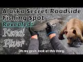 Alaska Secret Roadside Fishing Spot Revealed Kenai River