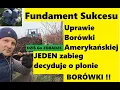 Lagu Najważniejszy sekret uprawy borówki, o którym wciąż mało się mówi zabieg, który zwiększa plon owoców