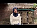 Download Lagu TAK SELAMANYA INDAH...!!! JANDA DESA CANTIK LUAR DALAM || PETUALANGAN ALAM PEDESAAN || JANDA MUDA