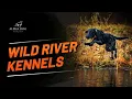 Wild River Kennels New England Dog Training