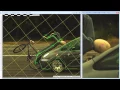 TEMA Automotive - Dummy Car Crash