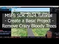 Microsoft Flight Simulator - SDK 2024 Tutorial