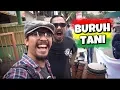 Download Lagu MARJINAL - BURUH TANI. Reggae Cover RUKUN RASTA. SKA Punk
