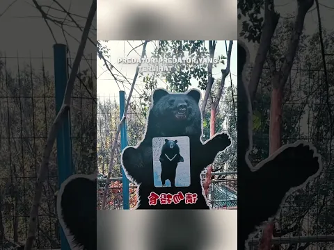 Kebun binatang ini isinya banyak hewan gemoy