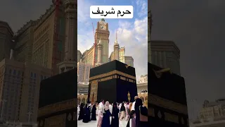 Https Www Instagram Com Reel DFB6YsCTNZO Igsh MXdlMm1tNnJ1Y3AybA  Https Www Instagram Com Reel DFB6YsCTNZO Igsh MXdlMm1tNnJ1Y3AybA