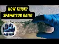 How to MAXIMIZE yield What s the Best Spawn to Sub Ratio How Thick Should Your Substrate Be