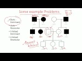 Pedigree Analysis methods - dominant recessive and x linked pedigree