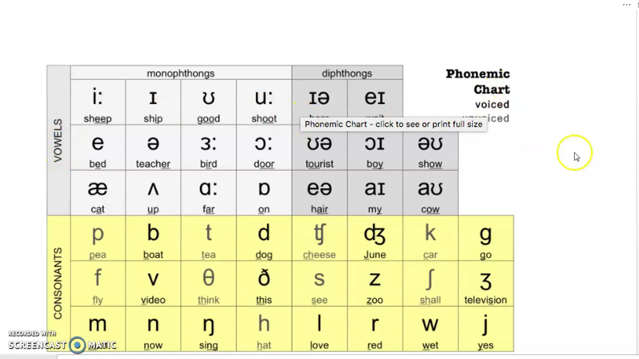Articulatory Phonetics and Phonology : A bird's eye view