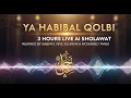 Download Lagu YA HABIBAL QOLBI | 3 HOURS LIVE AI SHOLAWAT INSPIRED BY SABYAN, VEVE ZULFIKAR \u0026 MOHAMED TAREK
