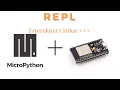 REPL MicroPython