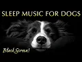 Download Lagu Sleep Music for Dogs and Humans 🐶💤 100% Black Screen