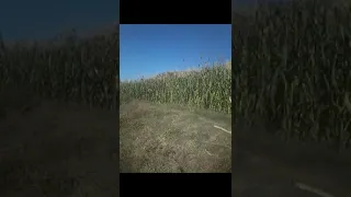 وبليبل يا لو البلابل وبليبل الا ورحيل   ايوب طارش عبسي  مناظر من قريه السرح بعدان  اب دندنها