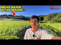 Download Lagu NEKAD MASUK HUTAN PEDESAAN JEPANG!! NGELIHAT BUAH LIAR